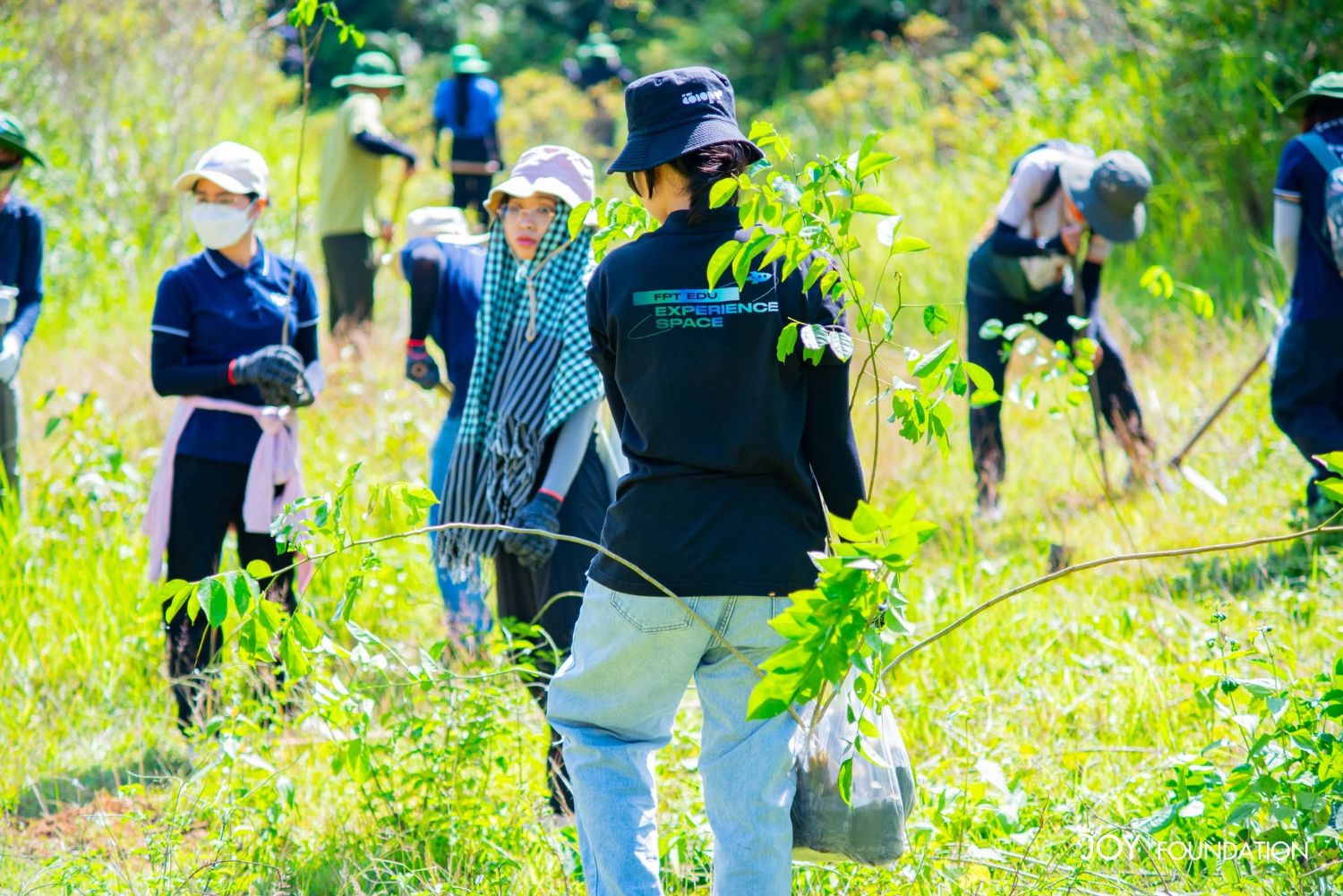 Volunteers carrying saplings during a planting trip