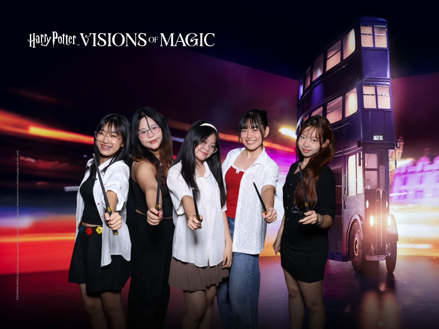 Harry Potter: Visions of Magic with friends