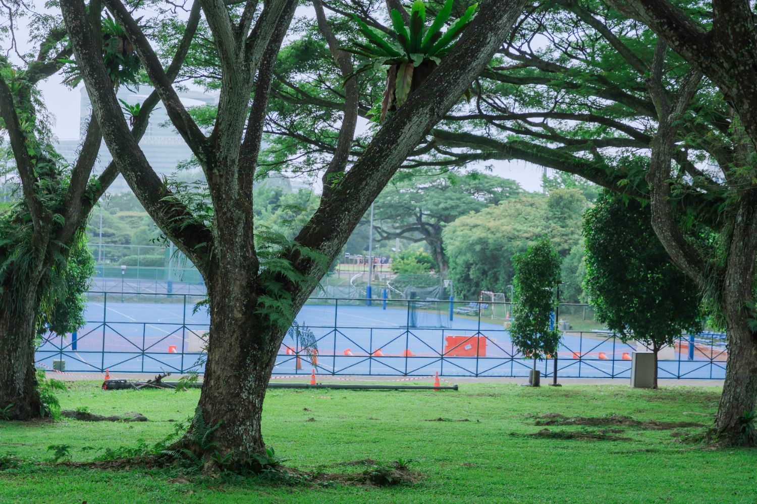 NUS campus grounds
